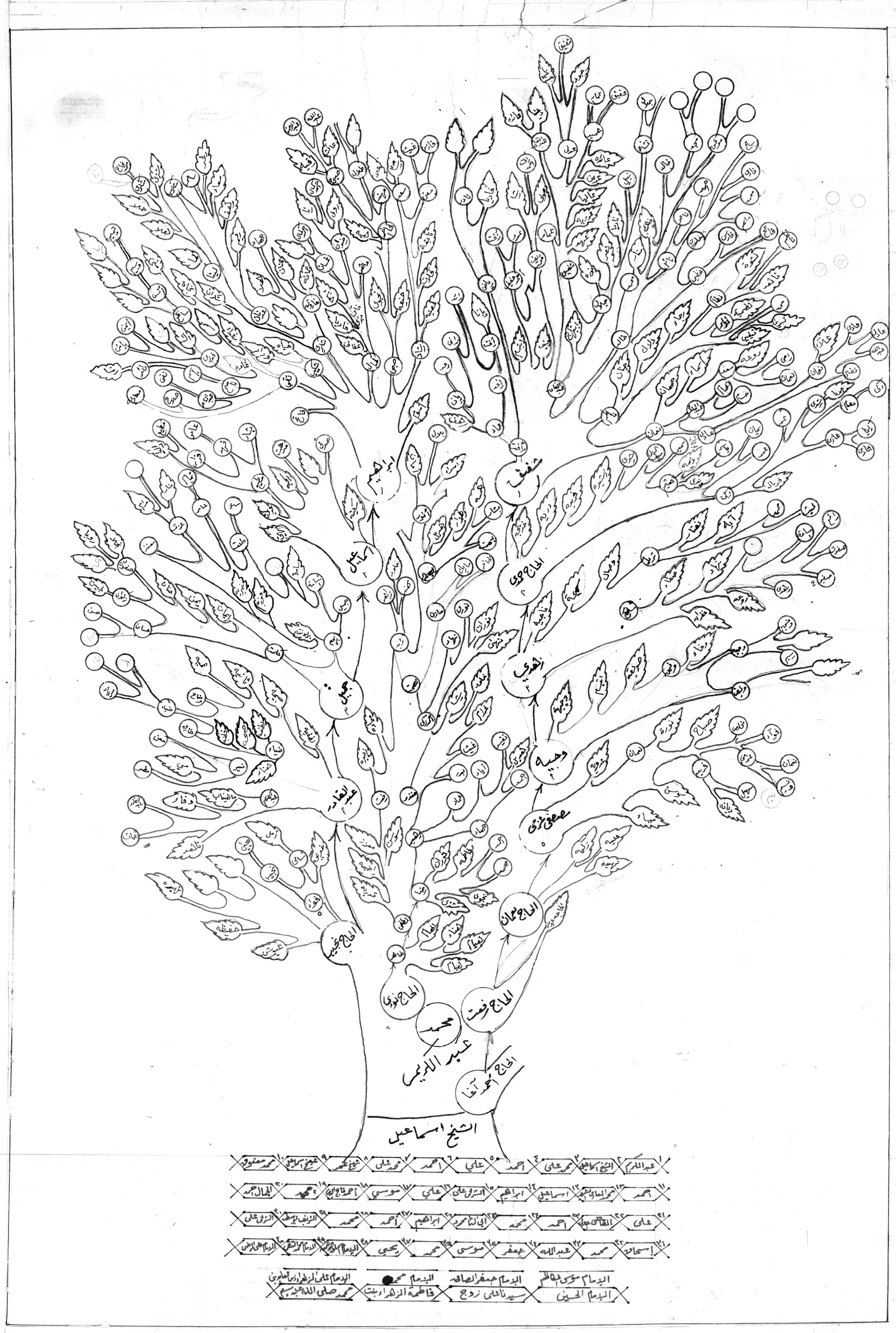 Hand-drawn family tree